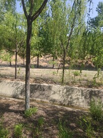 小河边
