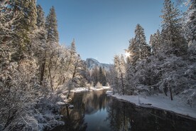 雪山下的湖边树林