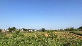 乡村小景