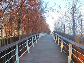 观光步道斜坡