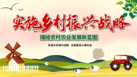 乡村战略