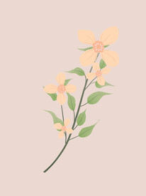 花朵
