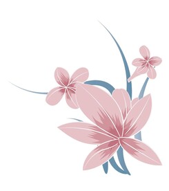 兰花