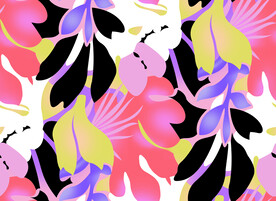 热带植物    叶子