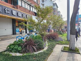 街头景观