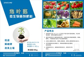 单页 