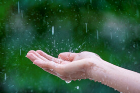 手接雨水