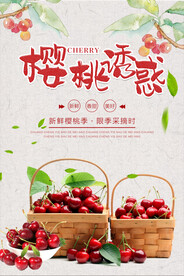 樱桃促销海报