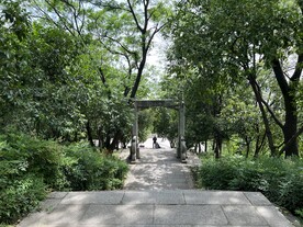 龟山游