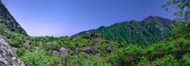 大山