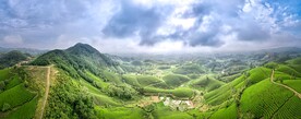 茶山风光