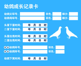 幼鸽成长记录卡