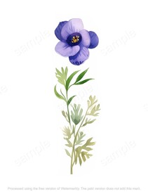 紫色的小花