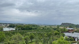 乡村小景