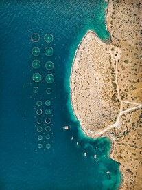 海洋农业