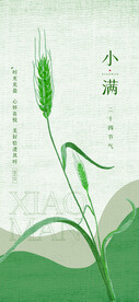 24节气海报 小满