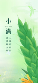 24节气小满创意海报