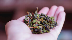 乌龙茶
