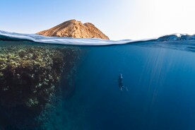 蓝海海洋潜水游泳运动图 