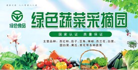 绿色蔬菜