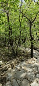 上山台阶