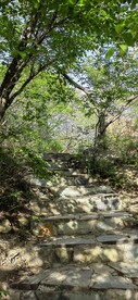 上山台阶