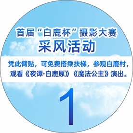 臂贴