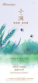 小满节气清新海报