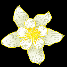  栀子花