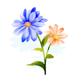 花卉