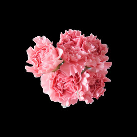 花团