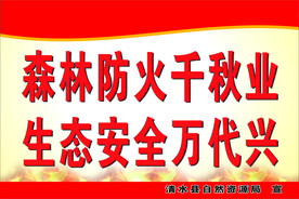 森林