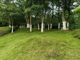 小山坡
