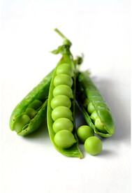 豌豆 