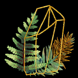 蕨类植物插画素材