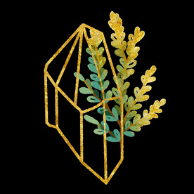 蕨类植物插画素材