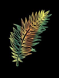 蕨类植物插画素材