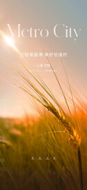 小满
