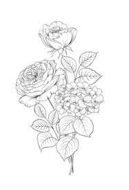 黑白手绘线条玫瑰花