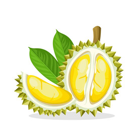 卡通榴莲