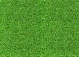 草皮图片