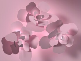 粉花