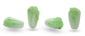 白菜图片