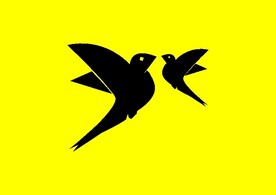 飞鸟