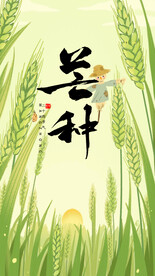 芒种