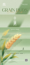小满