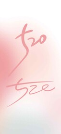 520数字