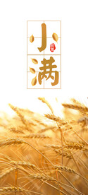 小满节气