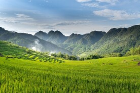 山谷梯田