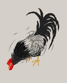 水墨公鸡插画